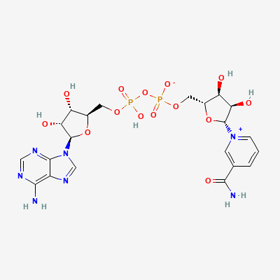 Chemical structure of NAD+